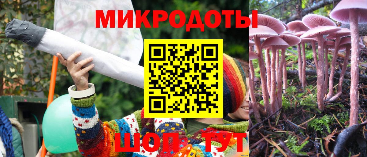 Псилоцибиновые грибы ЛСД Тайшет