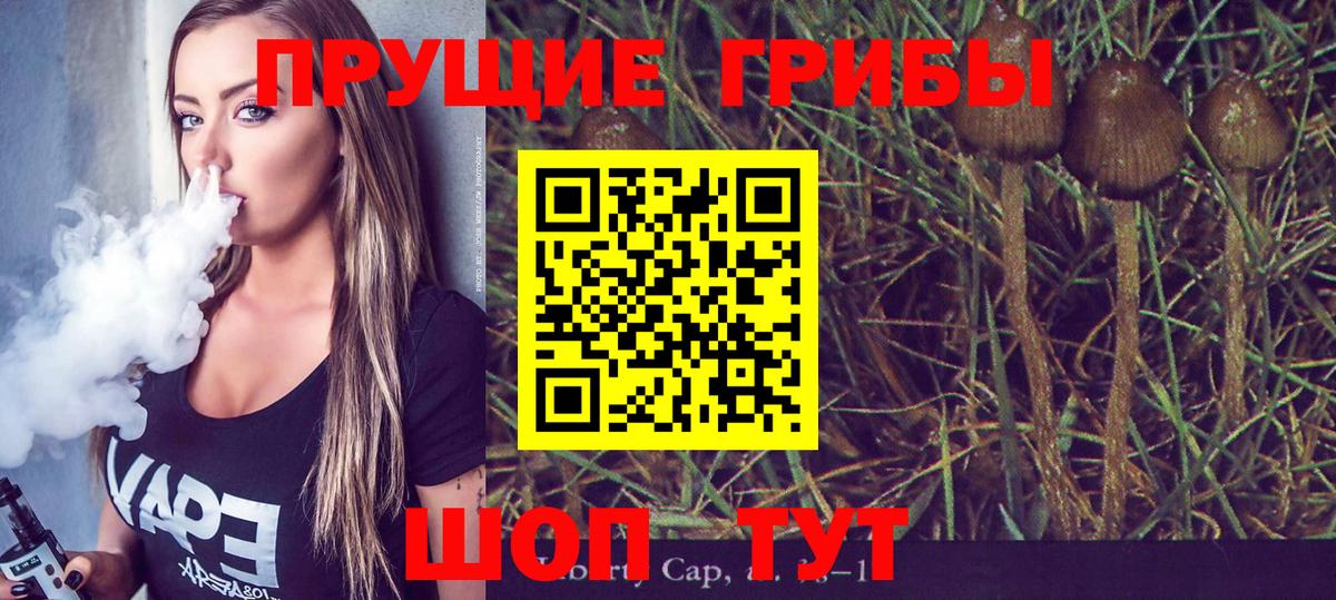 Тайшет  Псилоцибиновые грибы Magic Shrooms  Псилоцибиновые грибы Psilocybine cubensis  Вход с VPN 